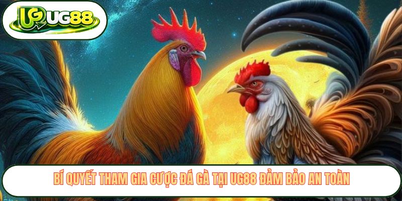 Bí quyết tham gia cược đá gà tại UG88 đảm bảo an toàn
